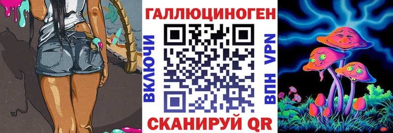 KRAKEN как войти  Анива  Галлюциногенные грибы мицелий 